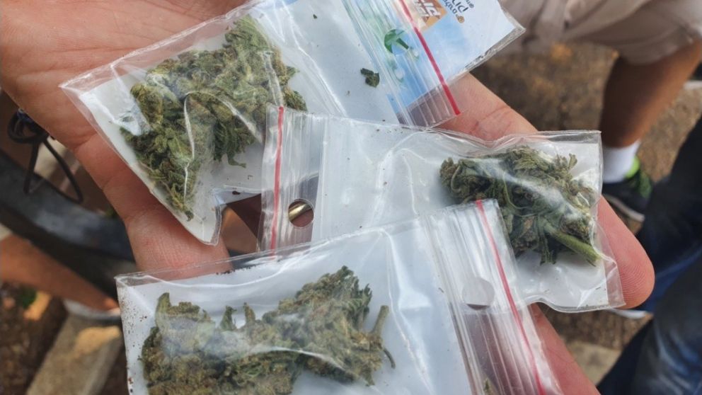 Narco tira 8 kilos de marihuana desde una terraza para evitar un robo y los transe�ntes se la llevan toda