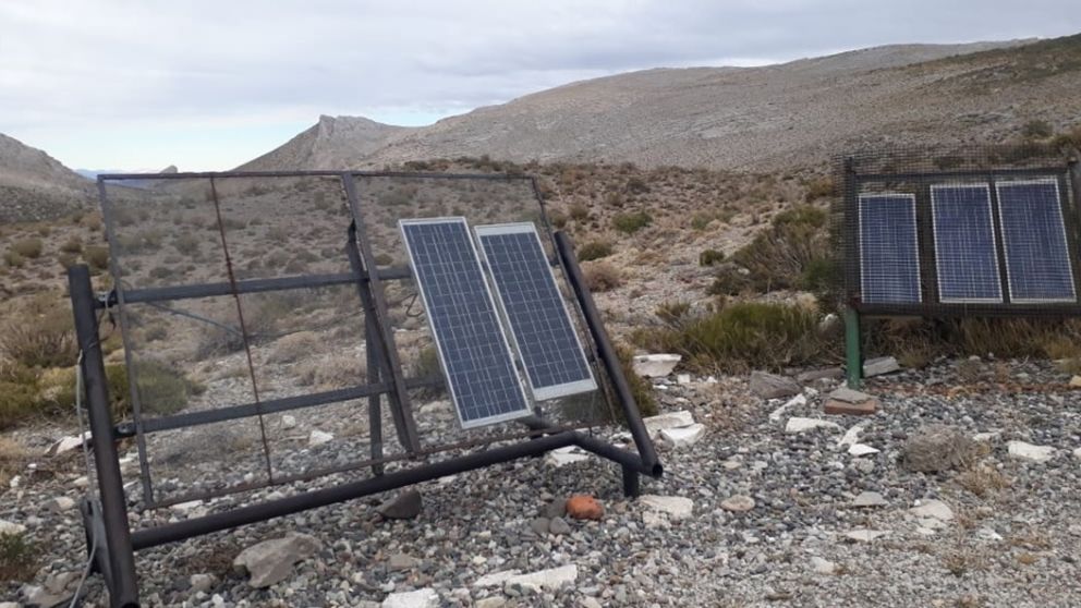 La energía renovable ya cubre el 40% de la demanda eléctrica en Argentina: el crucial papel de Mendoza