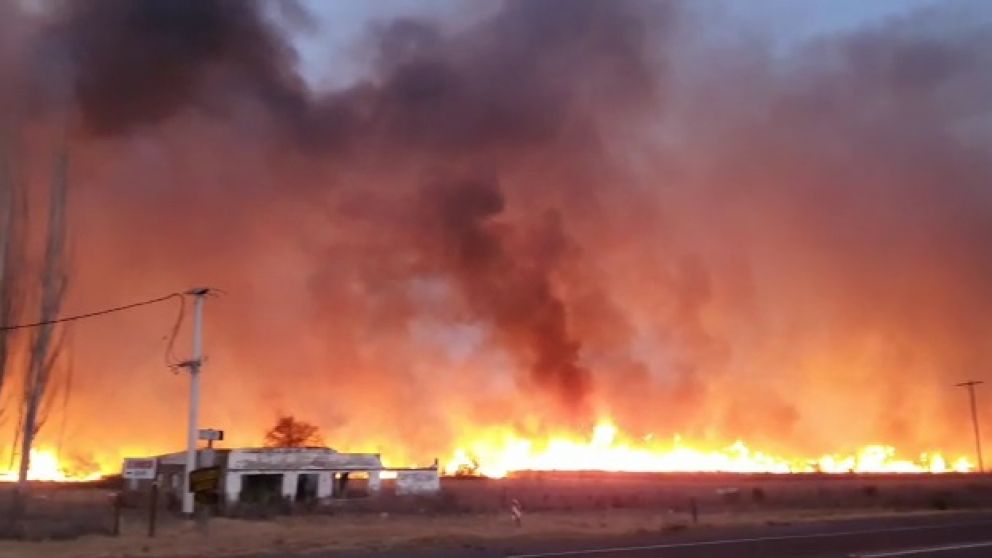 Video: el Zonda hizo estragos en el Valle de Uco y propag� graves incendios