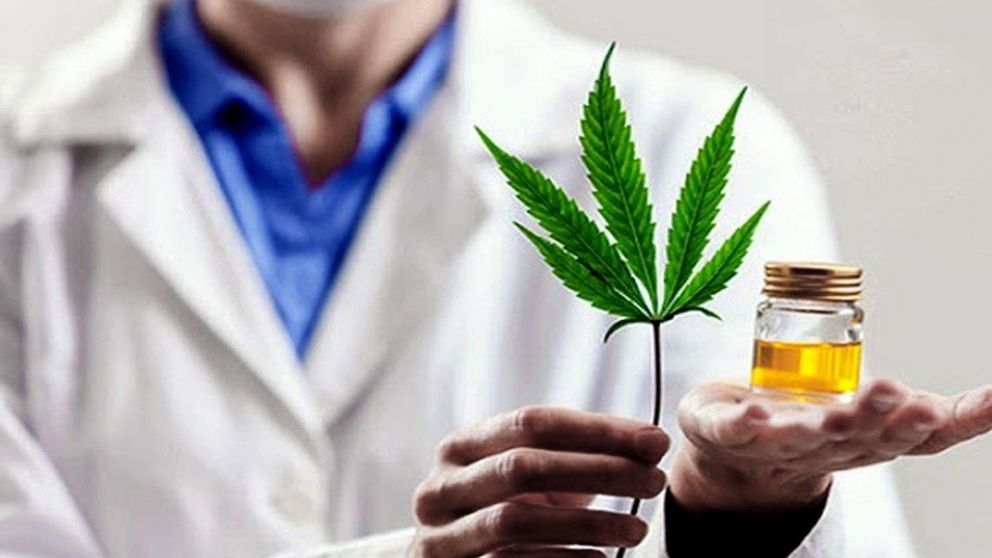 Aprueban en Mendoza la creaci�n del Registro Provincial del Cannabis y C��amo Industrial