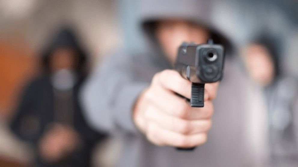El Gobierno anunci� que instrumentar� un plan de digitalizaci�n de armas de fuego