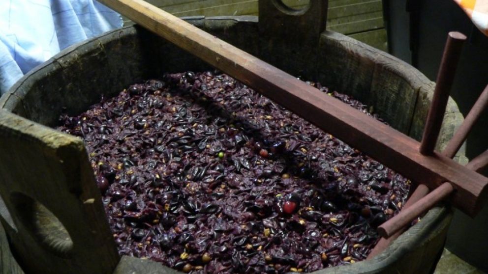 En Mendoza, un juicio millonario impacta sobre la vitivinicultura cuyana y genera fuerte pol�mica