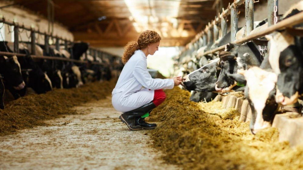 Presentaron un informe sobre la crítica situación de los productores mendocinos