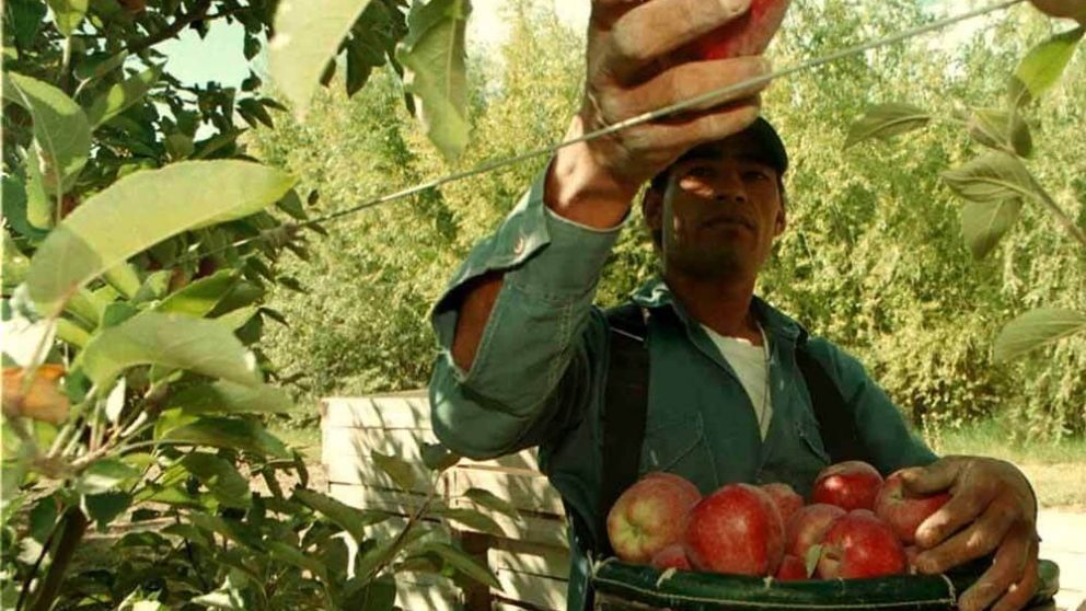 ¿Y Mendoza? Destinan $1.500 millones para impulsar la producción frutícola de Río Negro y Neuquén