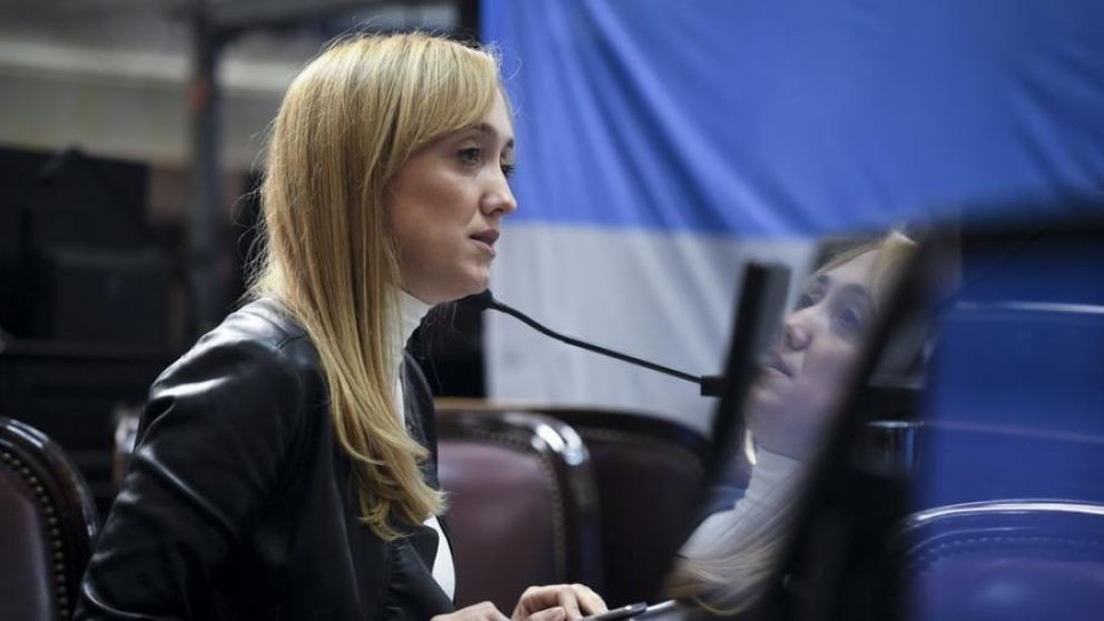 Anabel Fernández Sagasti / Telam
