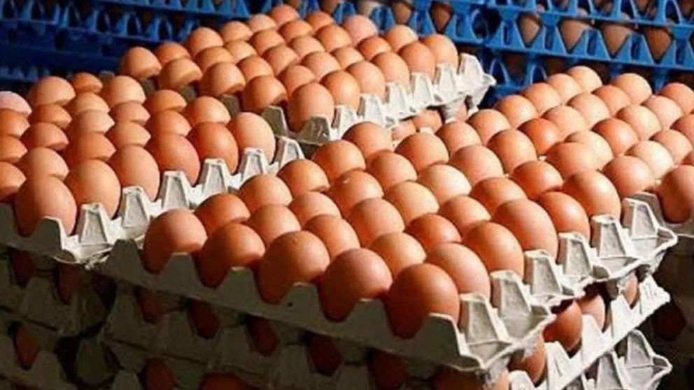 Argentina complet� el cupo exportador de huevos hacia la Uni�n Europea