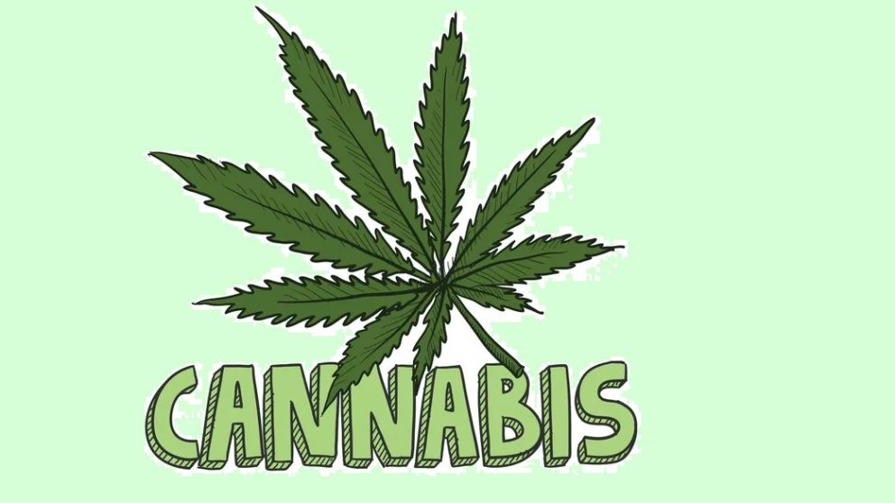 Neurocientífica de EEUU advierte que el consumo de Cannabis puede alterar la química cerebral de forma permanente
