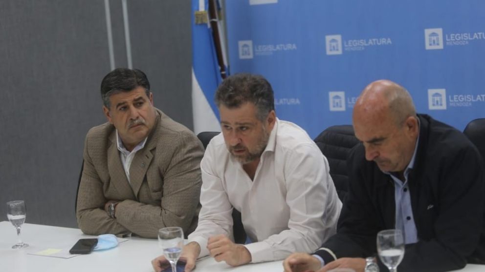 Con fuerte preocupación, el sector olivícola de Mendoza se reunió con el vicegobernador Mario Abed