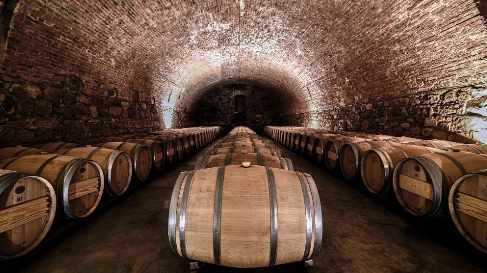 Degustando el vino 2026: de las misiones comerciales “exitosas” a las luces rojas