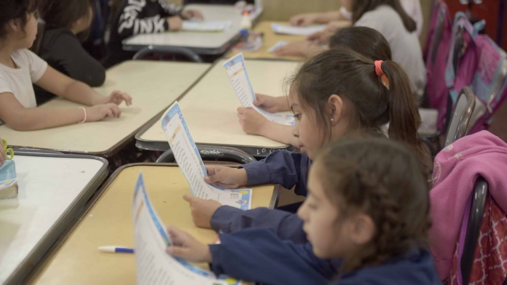 Ciclo lectivo 2026: distribuir�n m�s de 100.000 libros para ni�os y ni�as de Nivel Primario mendocino