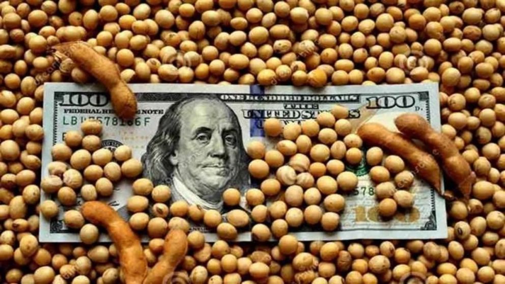 �Por qu� los productores retiene la soja a pesar de la baja de retenciones?