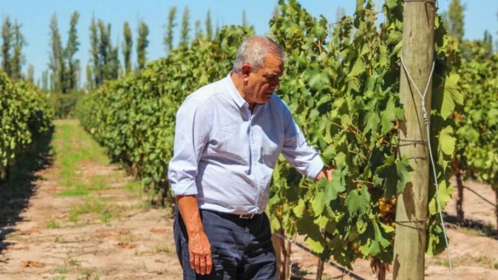 Ayuda para productores mendocinos: buscan impulsar las cooperativas agroindustriales