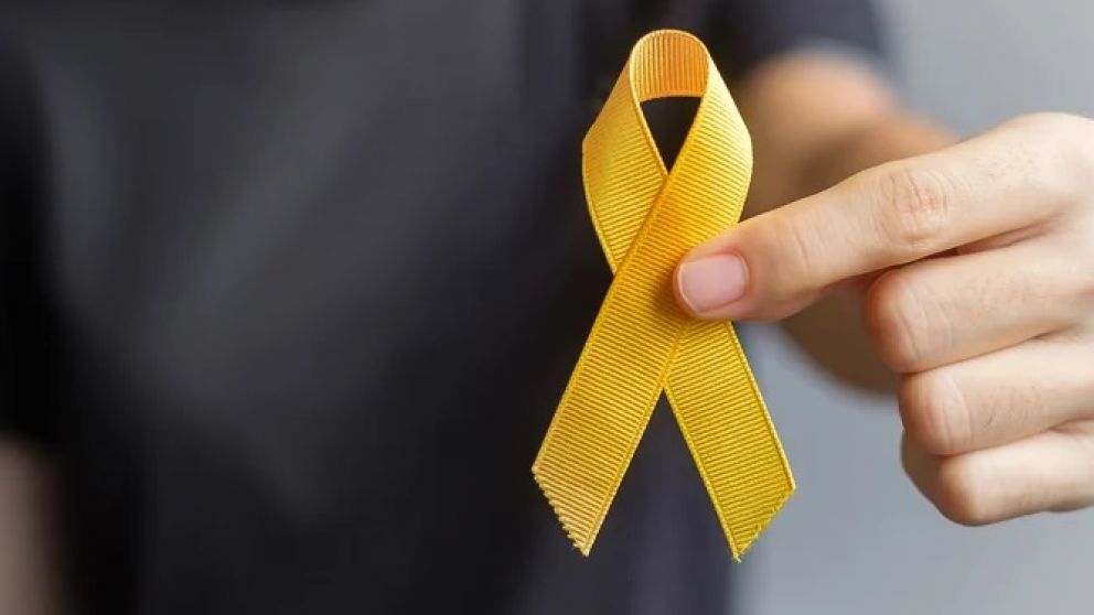 Las alarmantes est�disticas obligaron a Las Heras a crear un programa de prevenci�n del suicidio