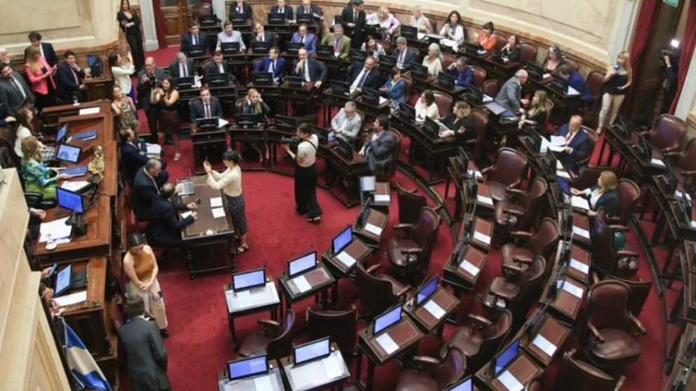 El Senado intenta conformar cuatro comisiones y acelerar un acuerdo con China