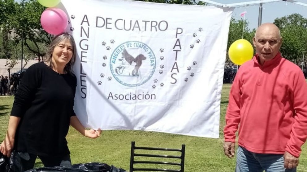Un refugio para “perros viejos” en Mendoza que busca crear conciencia sobre la adopci�n responsable
