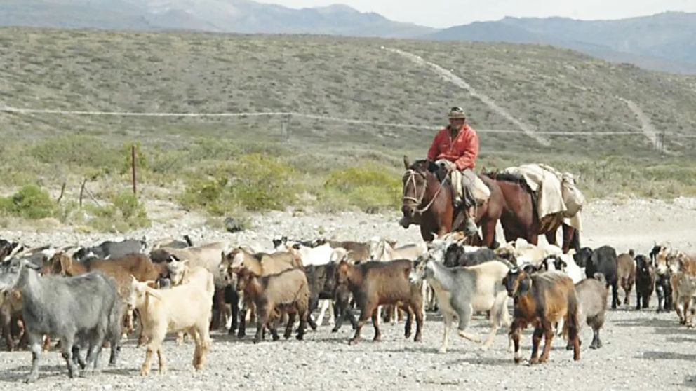 Inédito: la Justicia evitó que Las Leñas se quede con las tierras de un puestero y su familia