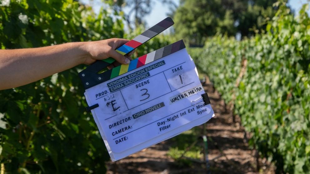 Mendoza filma: cuáles son los proyectos que fueron realizados en la provincia y se estrenarán de manera inminente