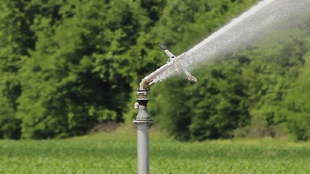Una escuela de la Ciudad de Mendoza present� un robot que avisa cuando una planta necesita agua
