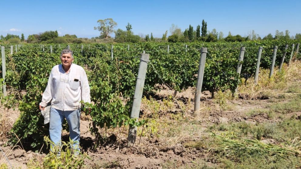 Jorge Tonelli / Prensa gobierno de Mendoza