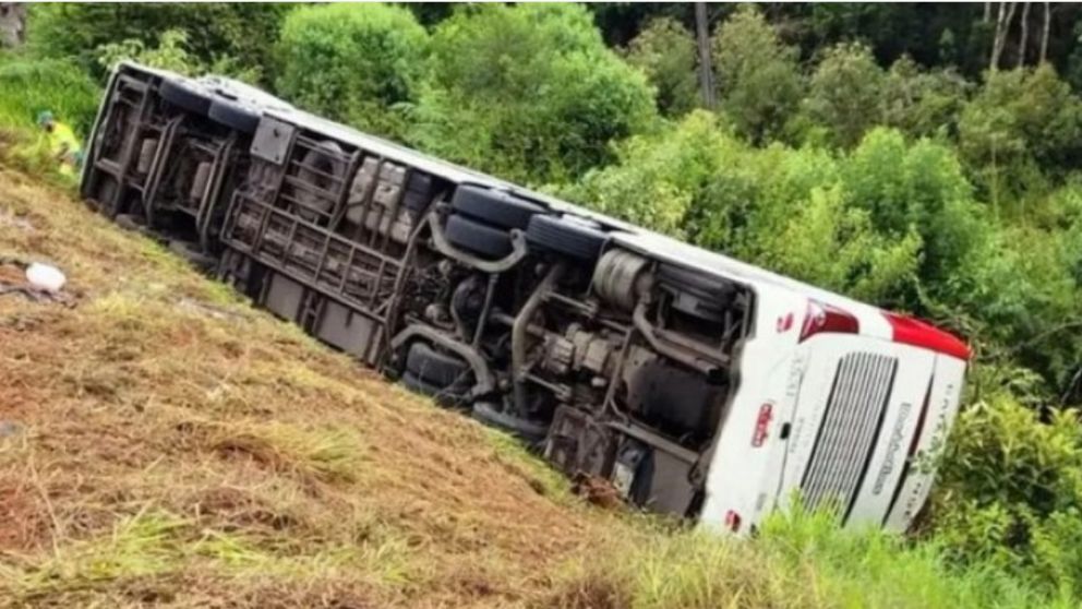 Brasil: una turista argentina y su hijo de tres años murieron al desbarrancar un micro