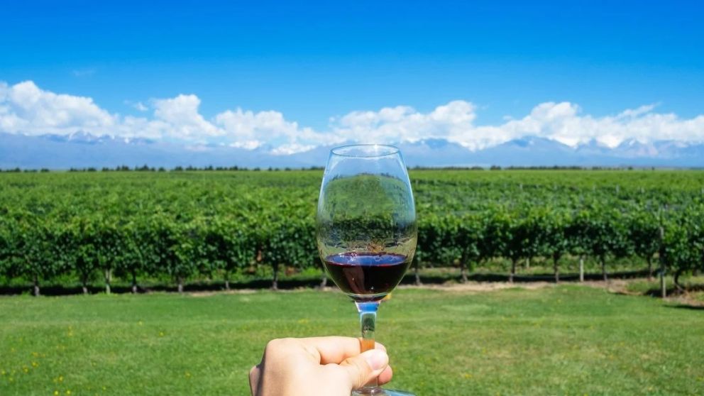 Día Internacional del Cabernet Franc: tres ejemplos de distintos terroirs de Mendoza
