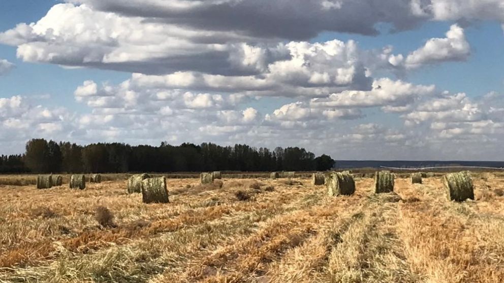 Un productor agr�cola ganadero del Valle de Uco, en primera persona: “El Fondo para la Transformaci�n nos ayuda a crecer”