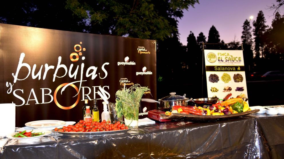 Escándalo en Guaymallén por una intoxicación masiva en el evento “Burbujas y Sabores”