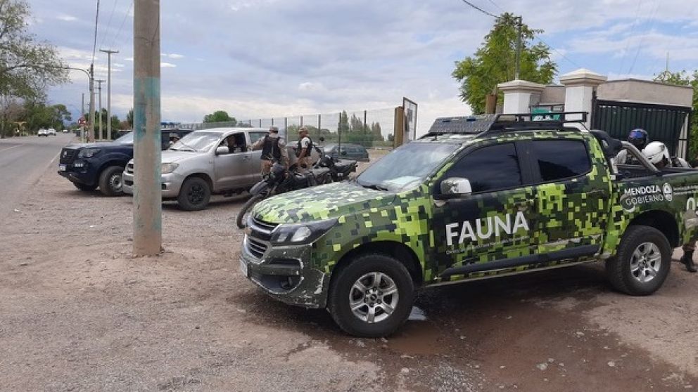 La Secretar�a de Ambiente de Mendoza realiz� un importante operativo de control en la Feria del Usado
