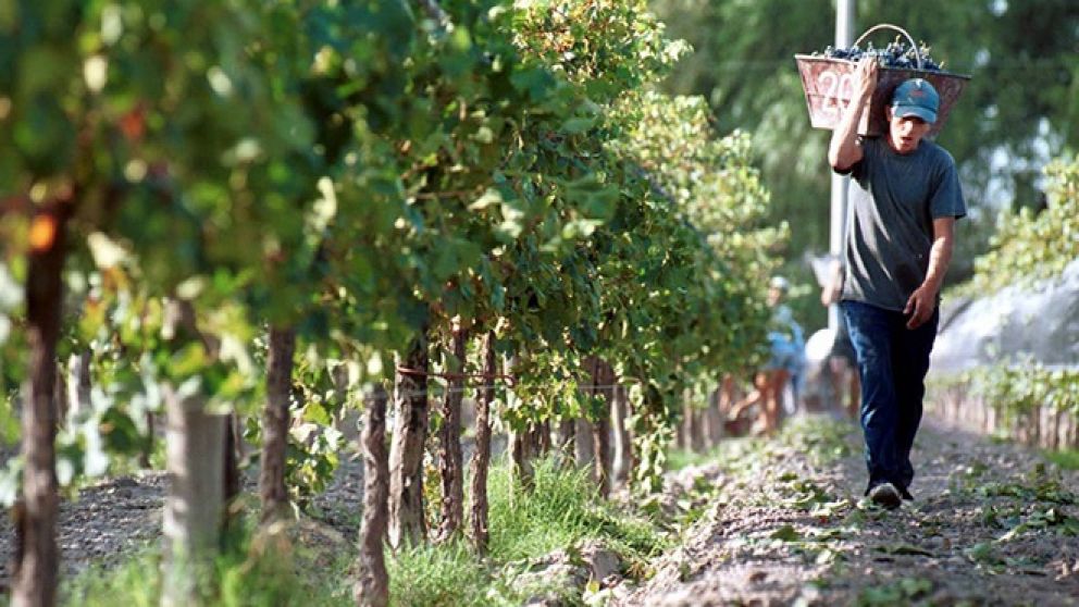 El Gobierno de Mendoza lanz� un programa de asistencia a trabajadores afectados por eventos clim�ticos