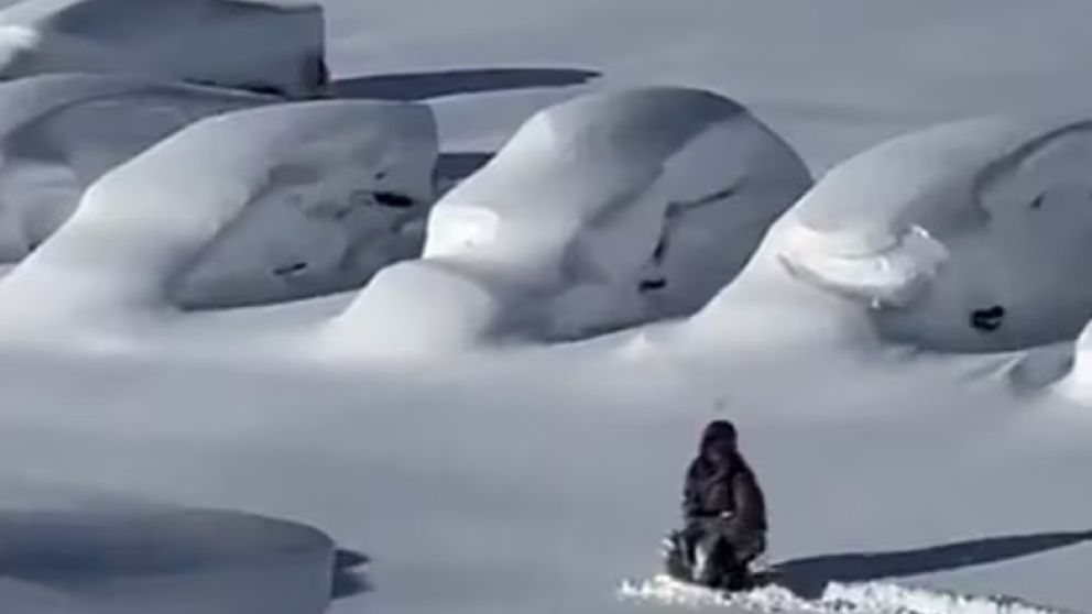 Captura de video