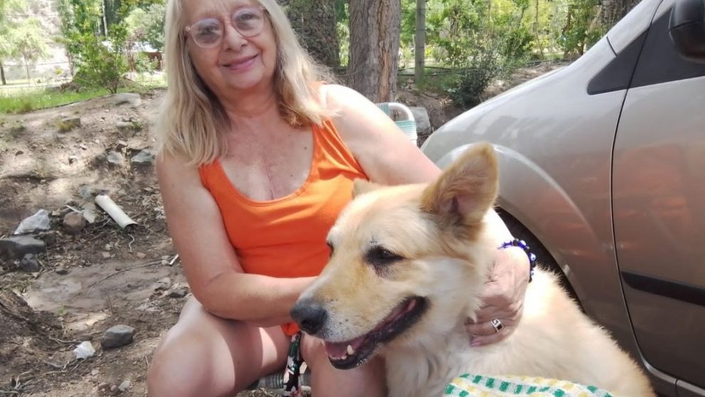 Les robaron el auto en la Cuarta Secci�n con su perrito adentro y lo buscan desesperadamente