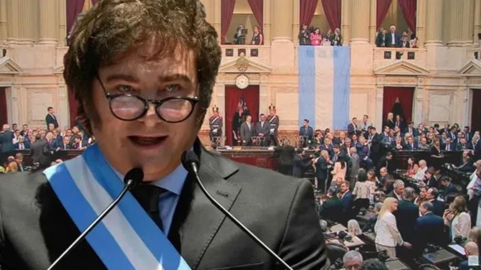Javier Milei / NA
