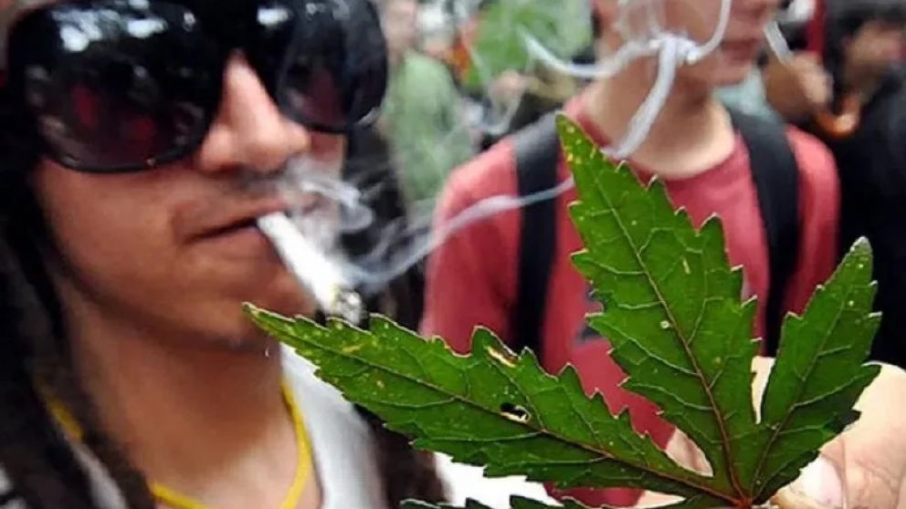 Polémica en puerta: la UNCuyo capacitará en el cultivo de cannabis