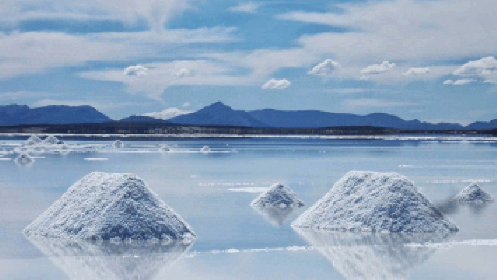 En qu� consiste el proyecto de exploraci�n de litio “Don Luis y Otro” que analiza el Senado mendocino