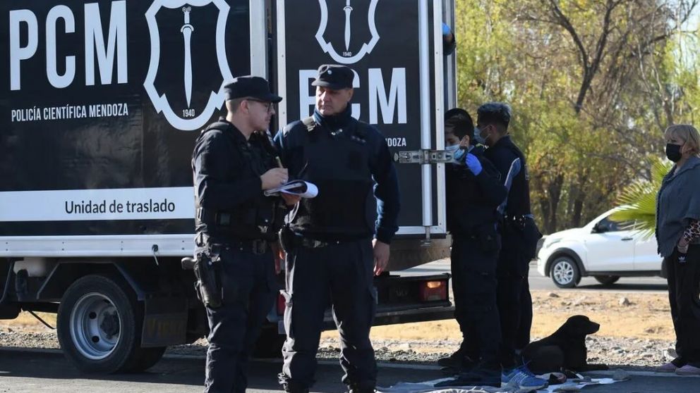 Tragedia en Maip�: una mujer muri� tras un choque entre dos camionetas frente a una bodega