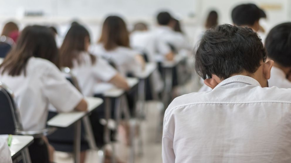 Proponen usar inteligencia artificial para detectar problemas de aprendizaje en alumnos mendocinos