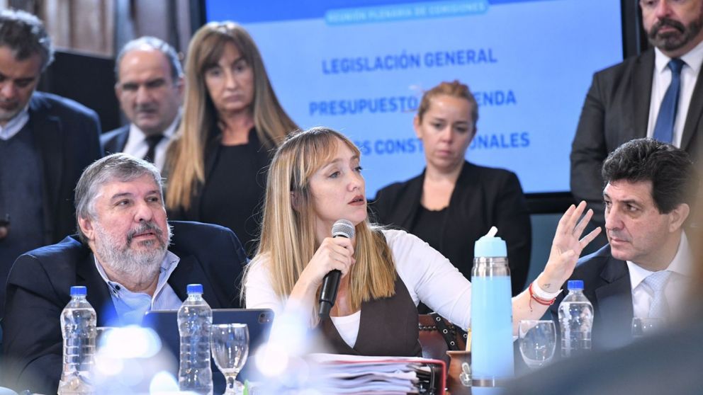 Tras la sanción de la Ley Bases, Fernández Sagasti sostuvo: “Hoy es un día triste para los trabajadores de Mendoza”