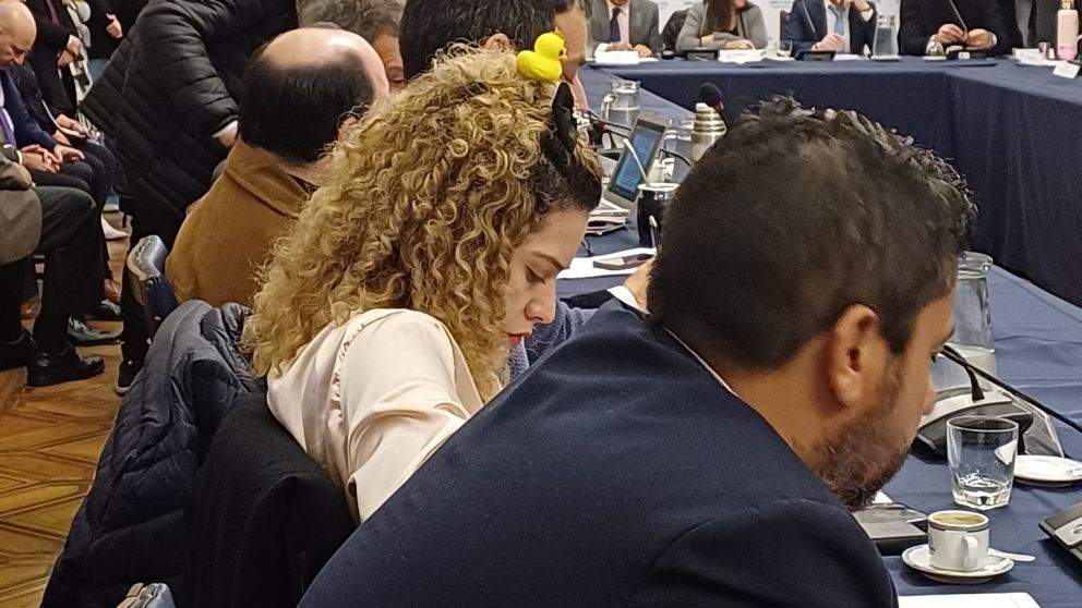 Arde la interna en LLA: Lemoine contra Villarruel; Arrieta y su expulsi�n, y Marcela Pagano no renuncia