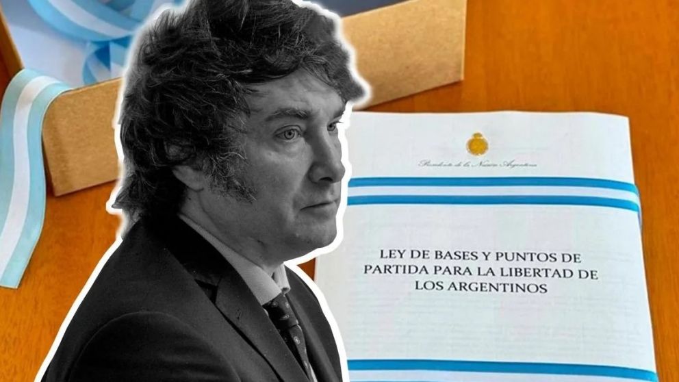 Javier Milei / Ambito