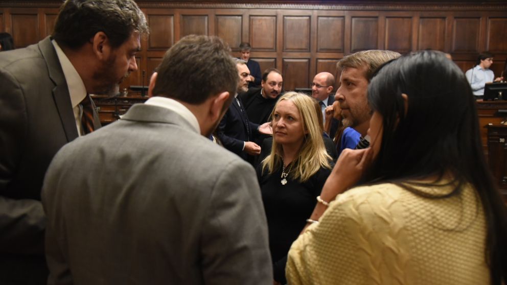 Se aprobó el RIGI en Mendoza con 24 votos a favor y 14 en contra: cómo votó cada senador