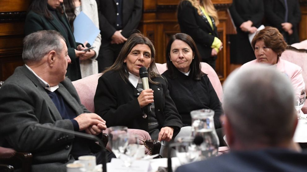 Raro: la mendocina Mariana Juri frenó el tratamiento de la Boleta Única en el Senado de la Nación