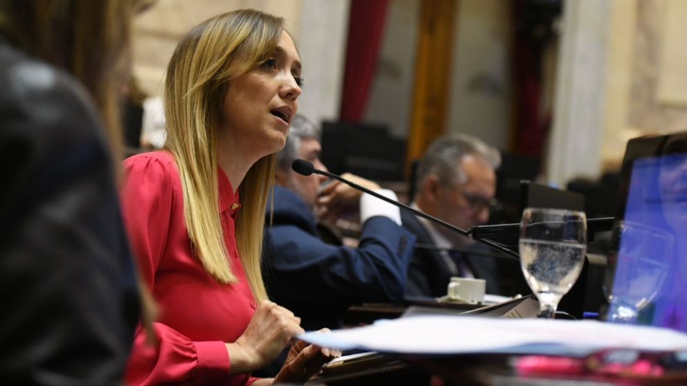 Fernández Sagasti va contra Adorni por las "graves inconsistencias patrimoniales"