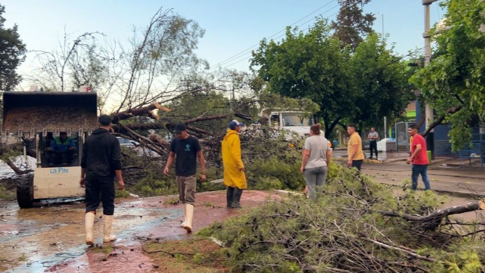 Granizo en el sur: diputados por Mendoza exigen que se declare el desastre agropecuario en tres departamentos