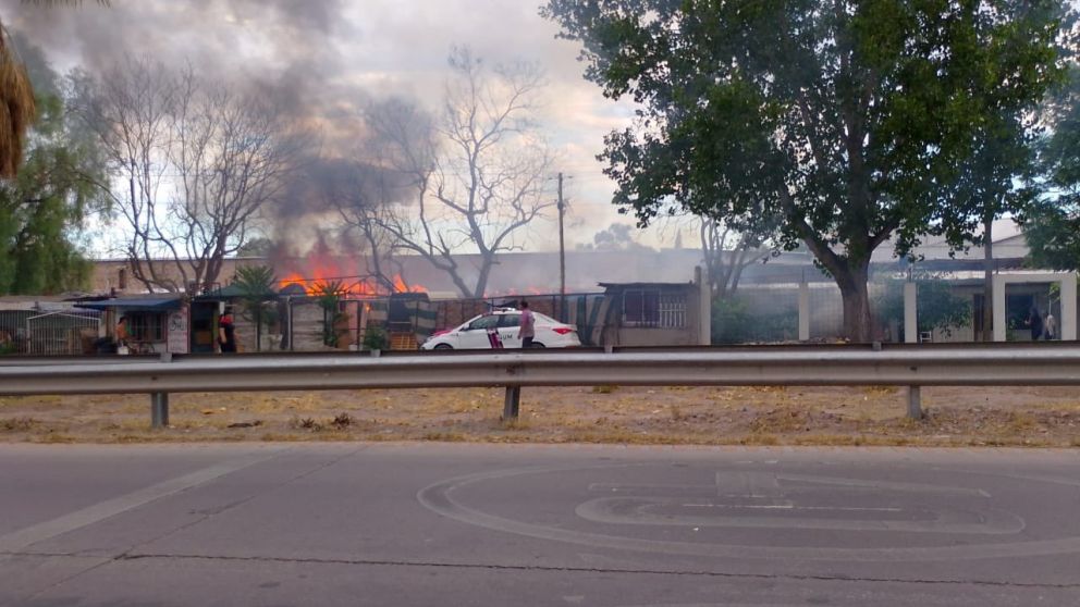 Mat�as Pascualetti
