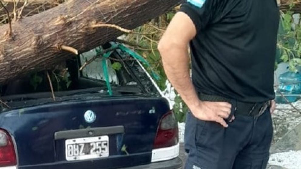 Santa Rosa: una tormenta de granizo se cobr� la vida de un joven a cuyo auto le cay� un �rbol encima