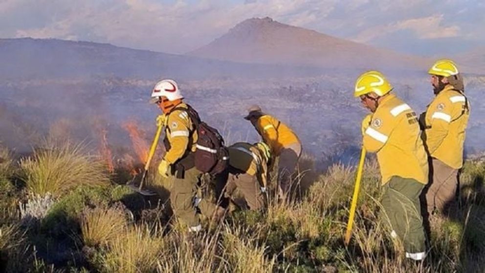 Incluirán en extraordinarias un proyecto para agravar las penas por incendios intencionales