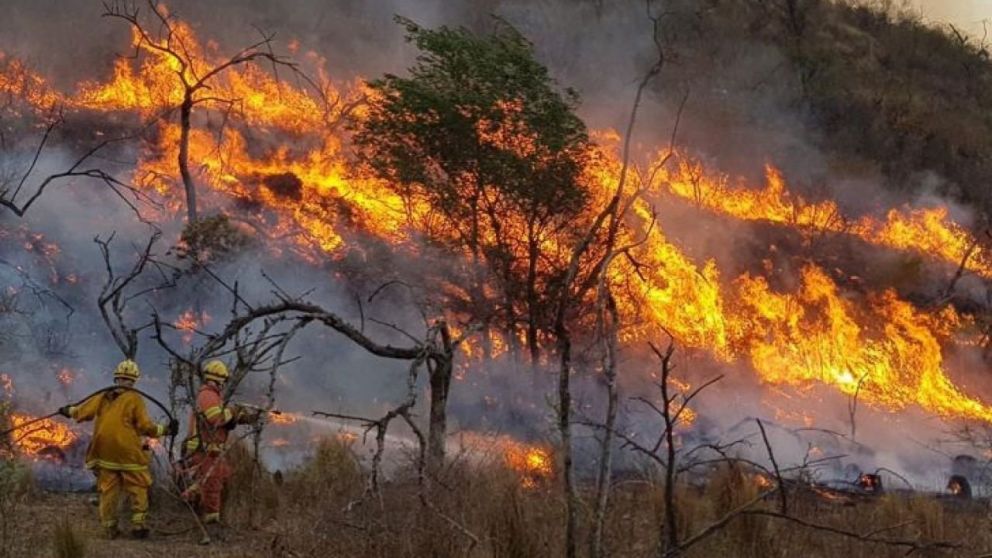 Los incendios en la Patagonia. Gentileza web. 
