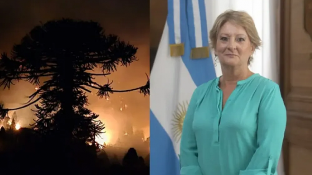 Ana Lamas. Gentileza. 
