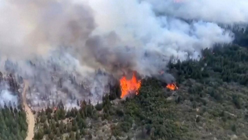 Incendios: el nuevo subsecretario de Ambiente admiti� que hay “prioridad cero”