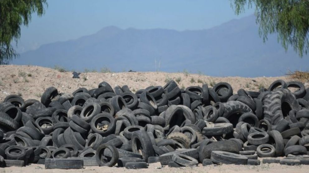 La Ciudad de Mendoza fortalece la gestión de recolección de Neumáticos Fuera de Uso